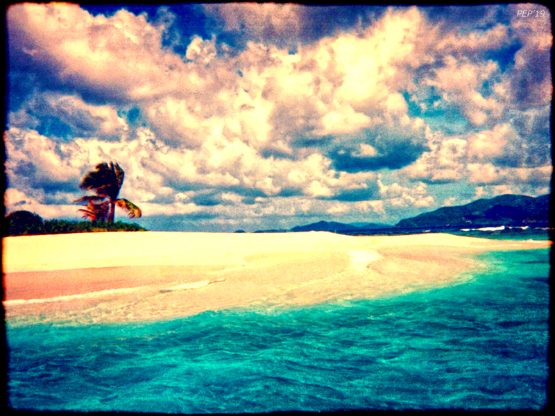Vintage Caribbean Landscape