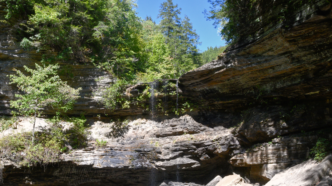 Greeter Falls At Savage Gulf