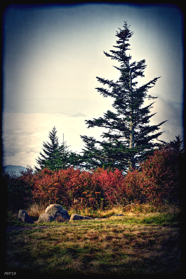 Vintage Smoky Mountains Landscape