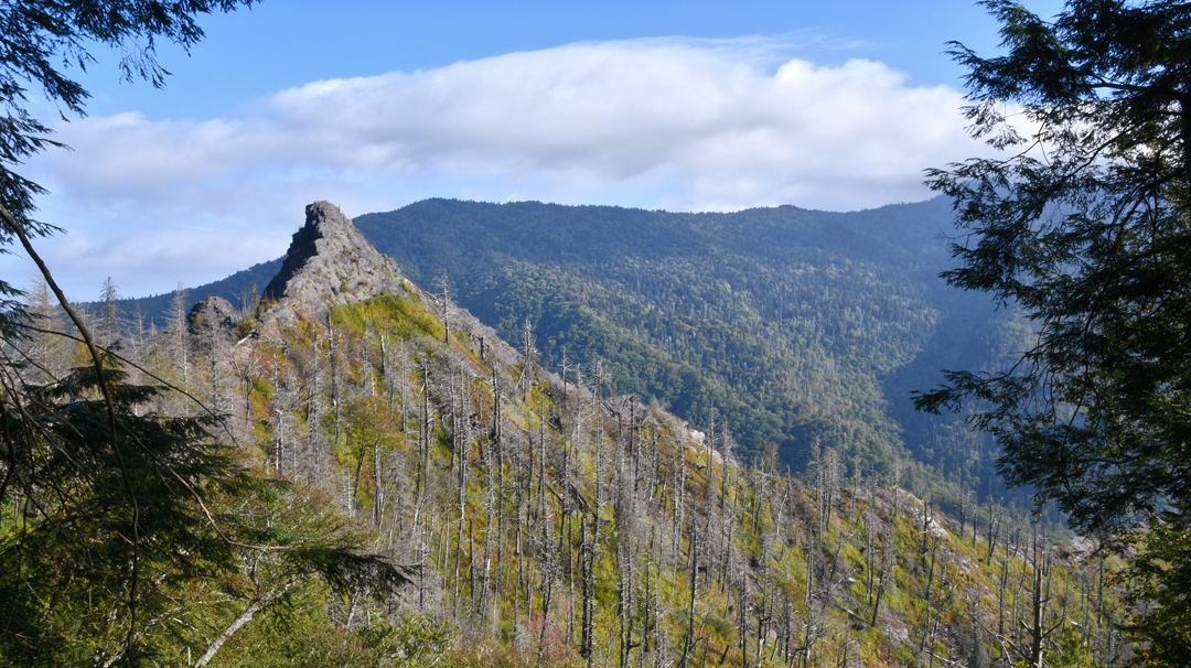 Chimney Tops In Smoky Mountains