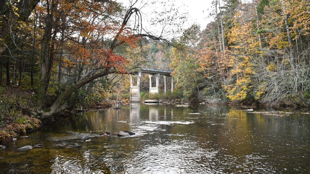 Jett Bridge At Obed