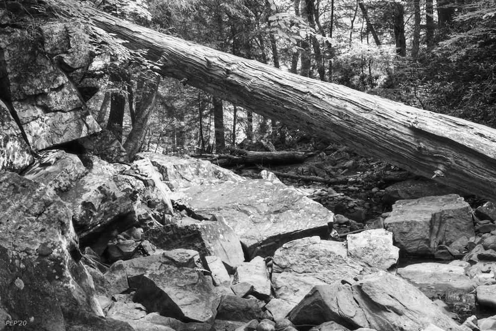 Rocky River Bed