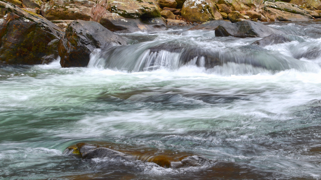 Laurel-Snow Trail To Laurel Falls