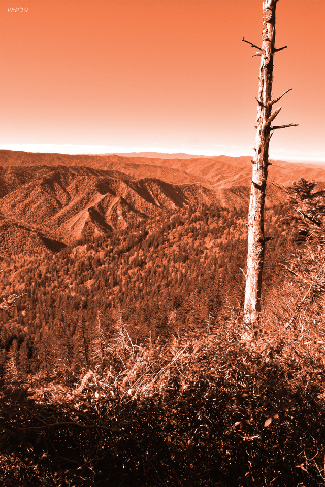 Orange Mountain Landscape