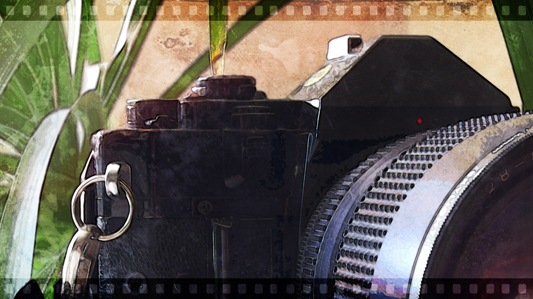 Online Photography Training