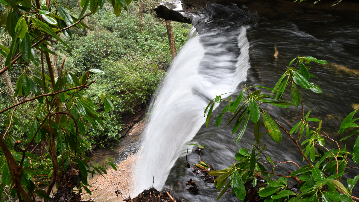 Return To Northrup Falls