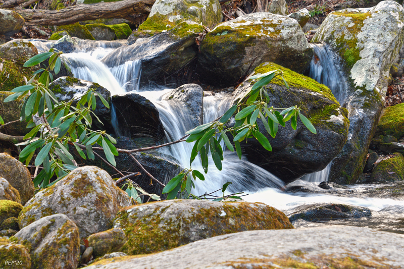 Mountain Stream