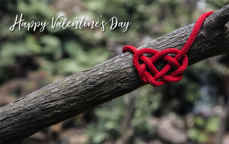 Happy Valentine’s Day 2020