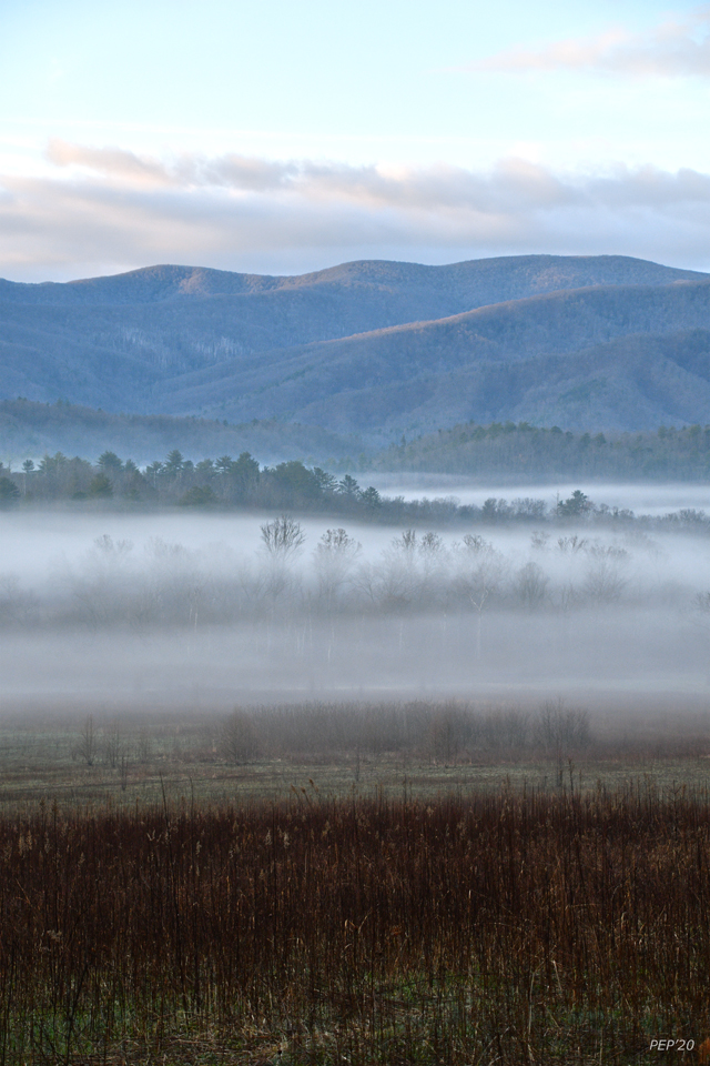 Fog In The Valley
