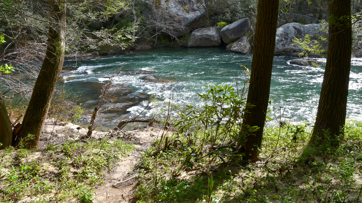 Clear Creek At Obed
