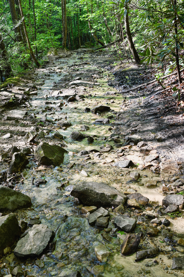Trail Is A Creek