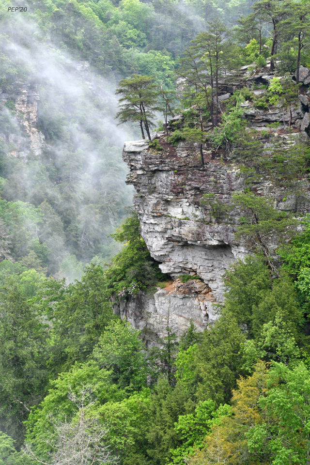 Fog In The Valley