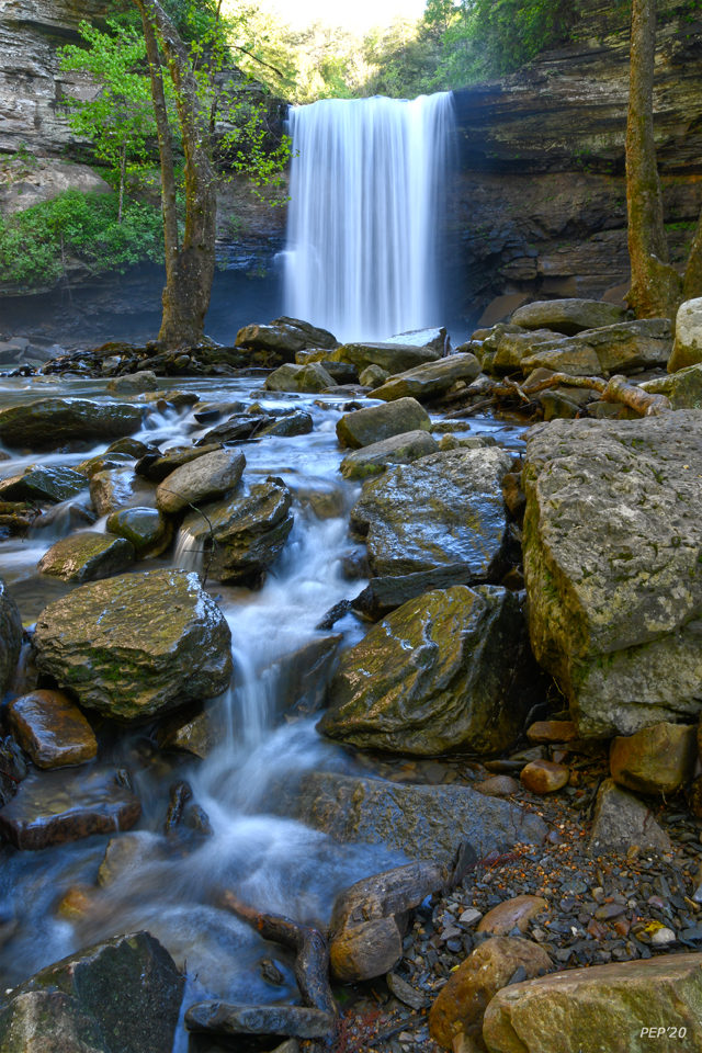Waterfall At Savage Gulf