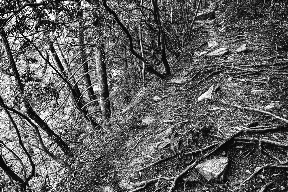 Hiking Trail