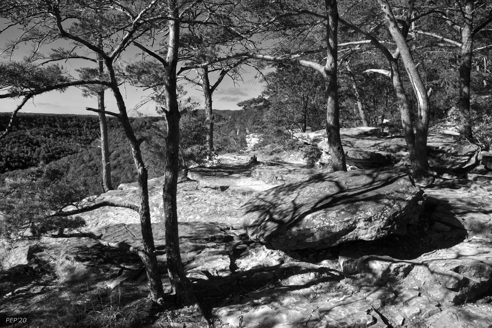 Black And White Scenic View