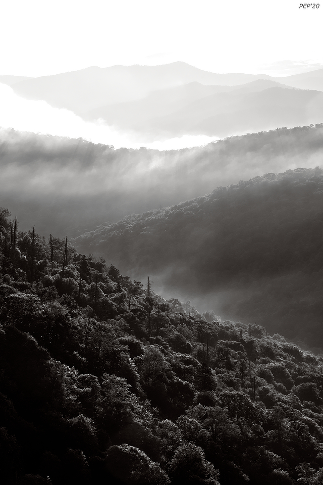 Morning In The Blue Ridge Mountains