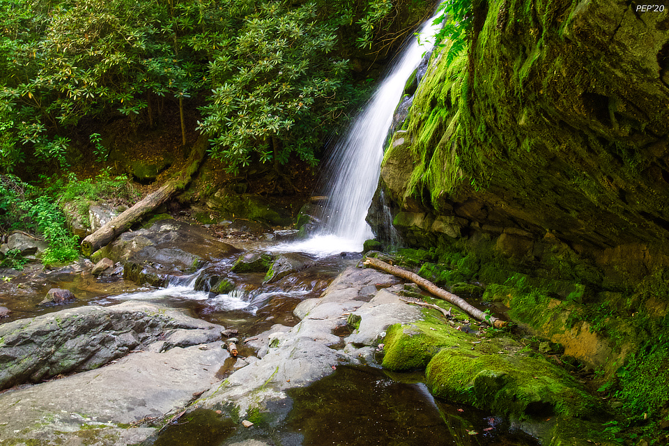 Moss At Meigs Falls