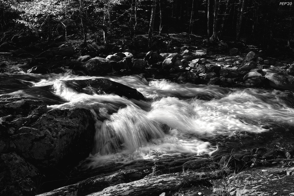 Black And White Little River