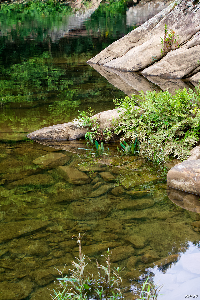 Morning Reflection On Clear Creek