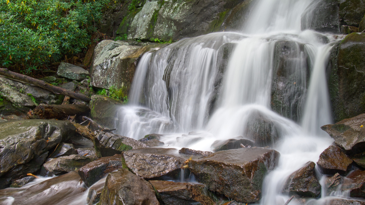 Return To Laurel Falls