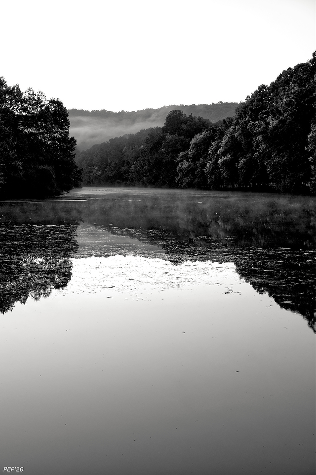 Fog On The Water