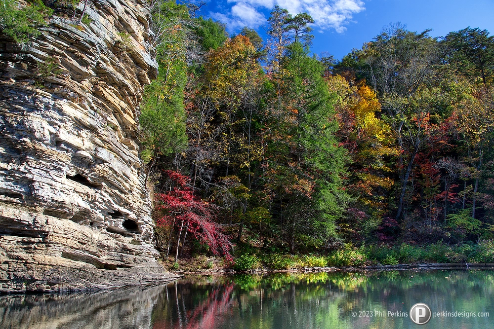 Autumn Reflections