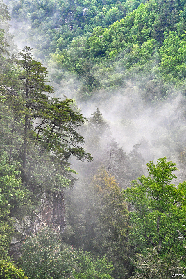 Fog In Valley