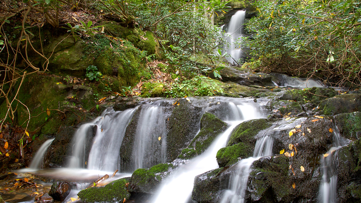 Mannis Branch Falls