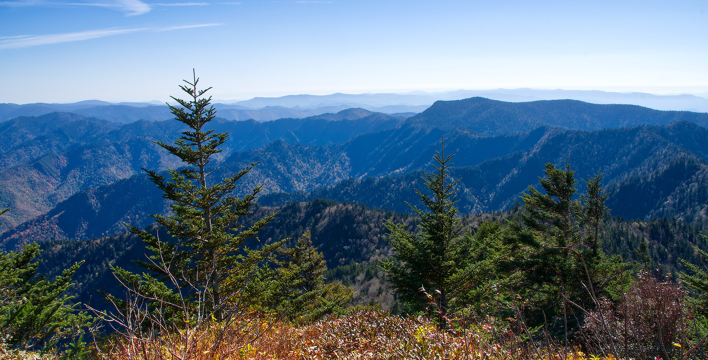 Mount LeConte