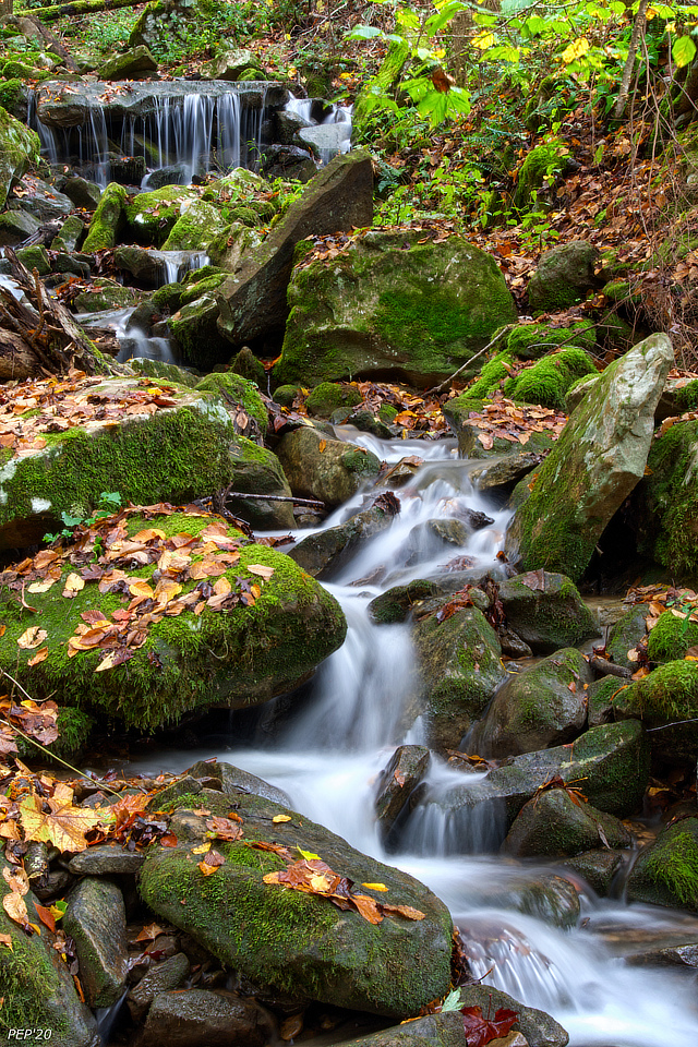 Running Water On Hillside