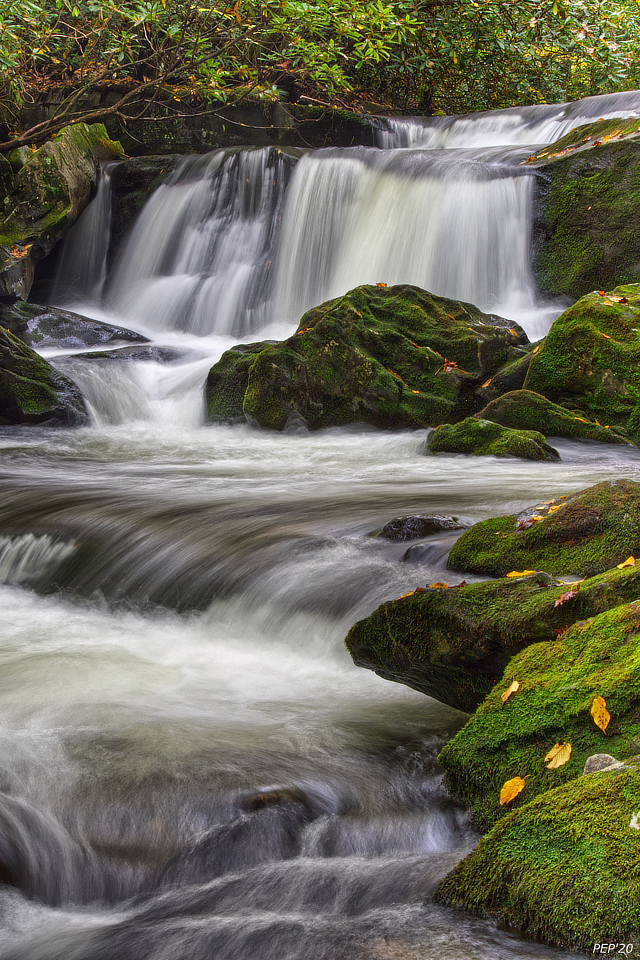 Cascades And Moss