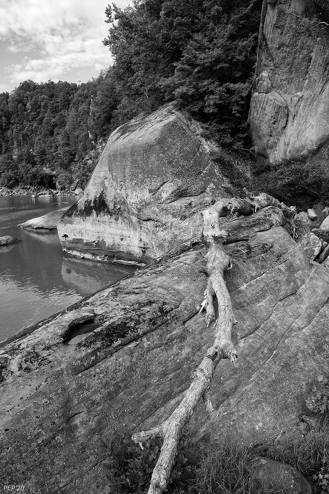 Along The Cumberland River