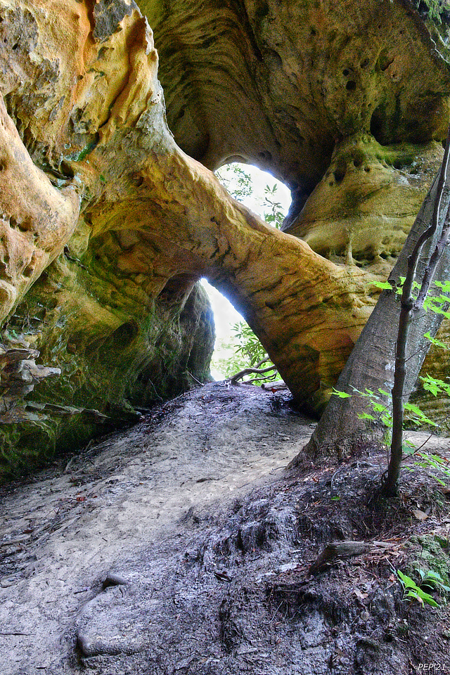 Circle Bar Arch
