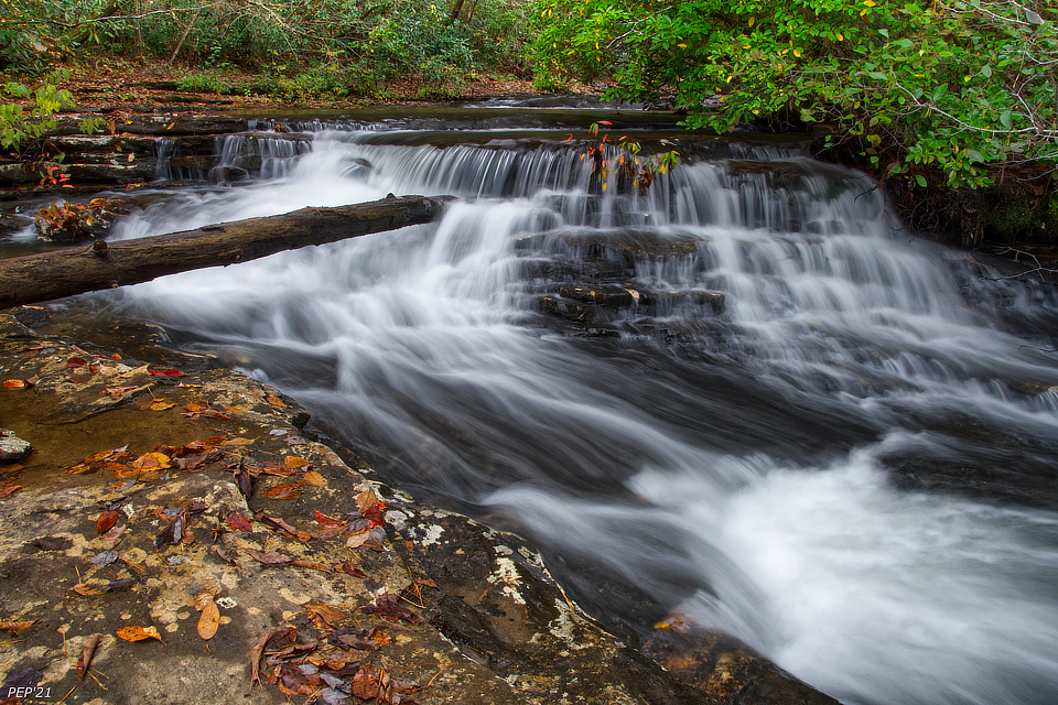 Cascades At Stinging Fork