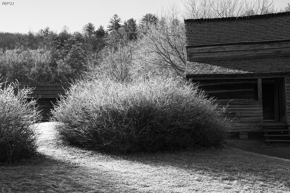 Black And White Cabins