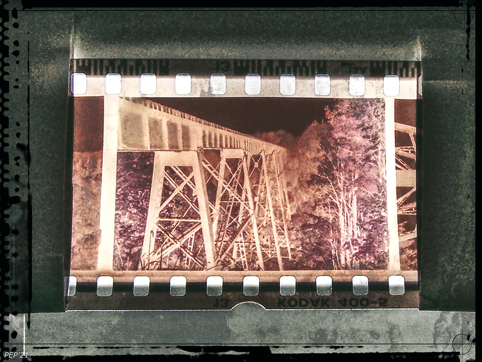 Vintage Film Negative