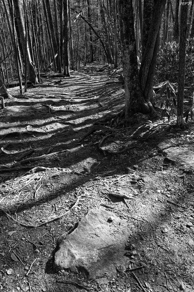 Gabes Mountain Trail