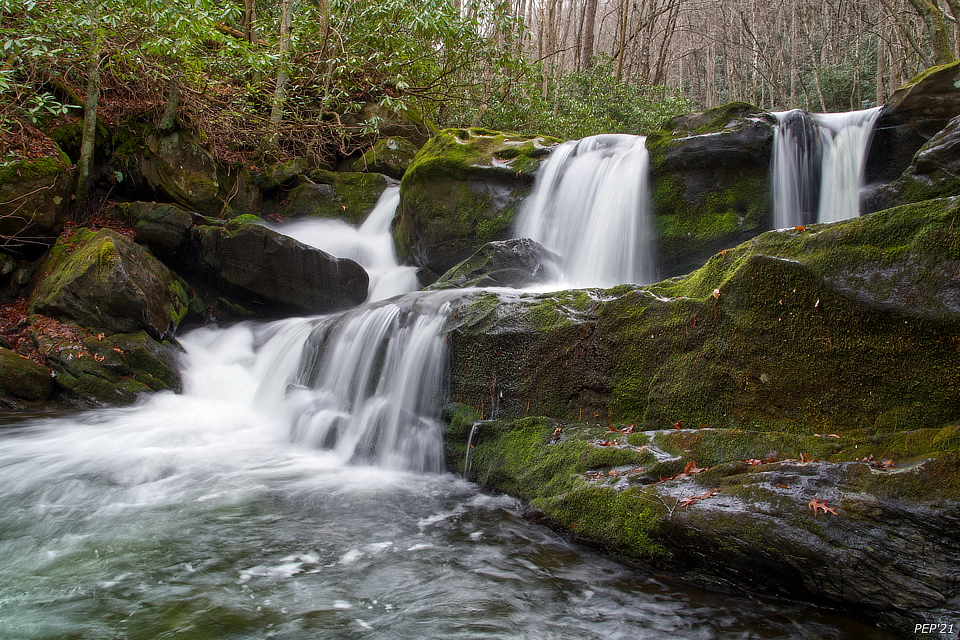 Cascades On Lynn Camp Prong