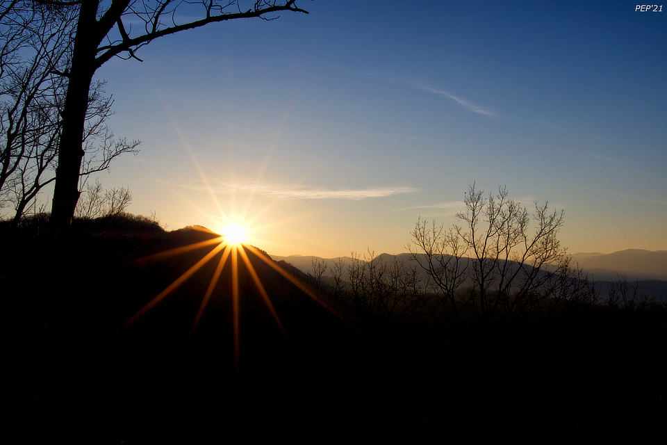 Good Morning Sunshine