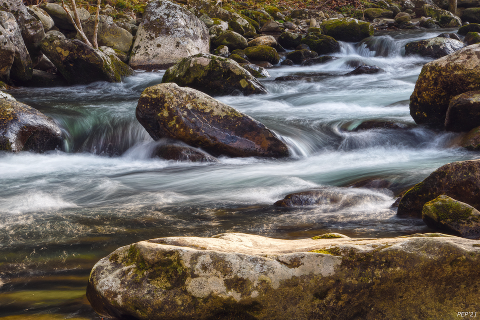 Movement of Water