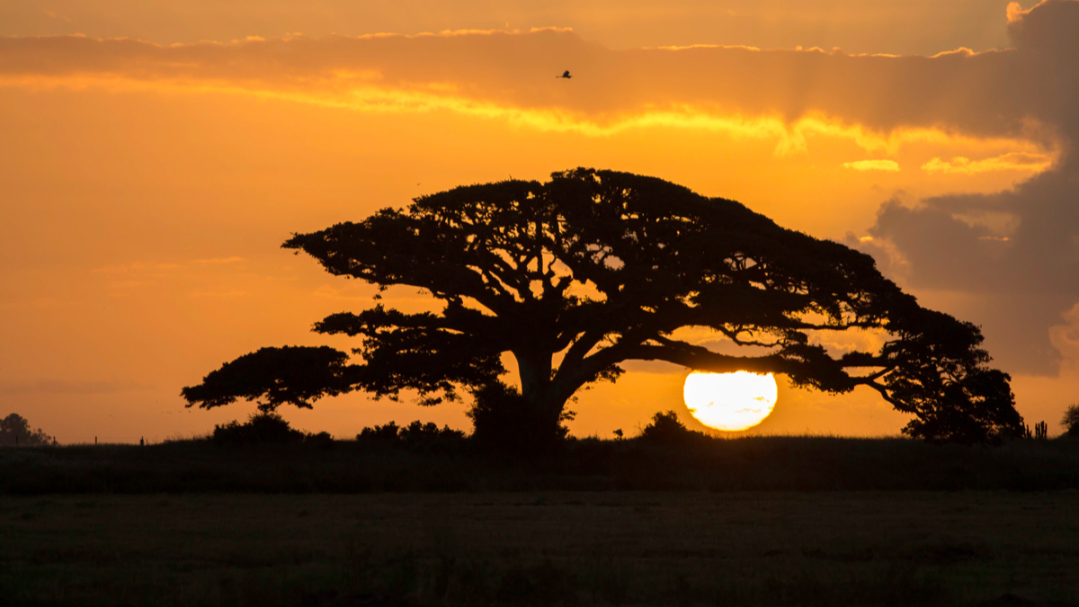 Song For Today