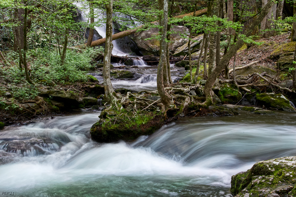 Honey Cove Falls