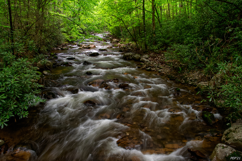 Rapids On Laurel Fork