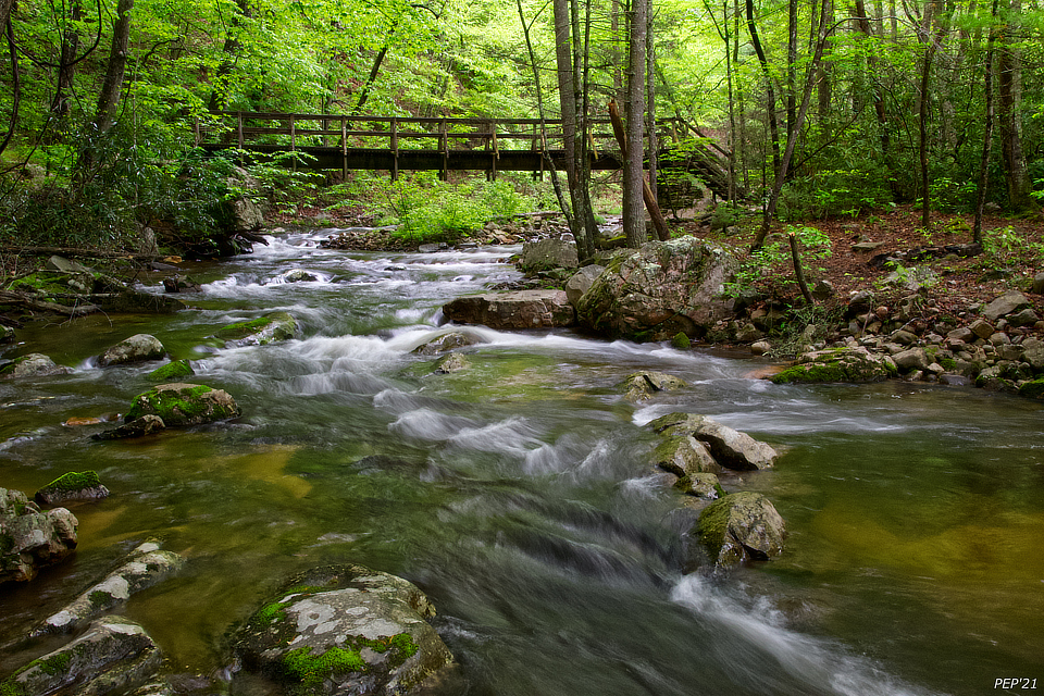 Bridge Over Laurel Fork