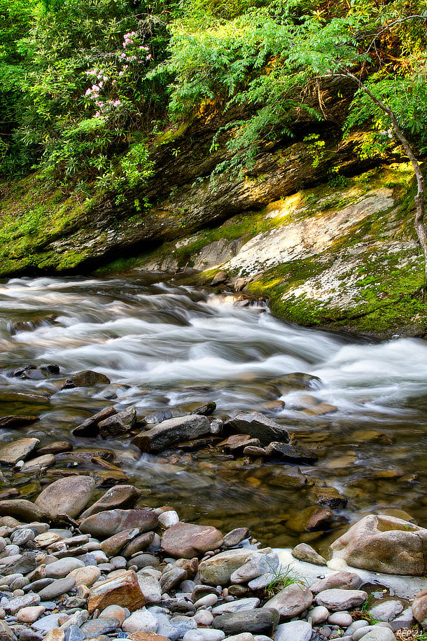 Poem: Water Always Wins