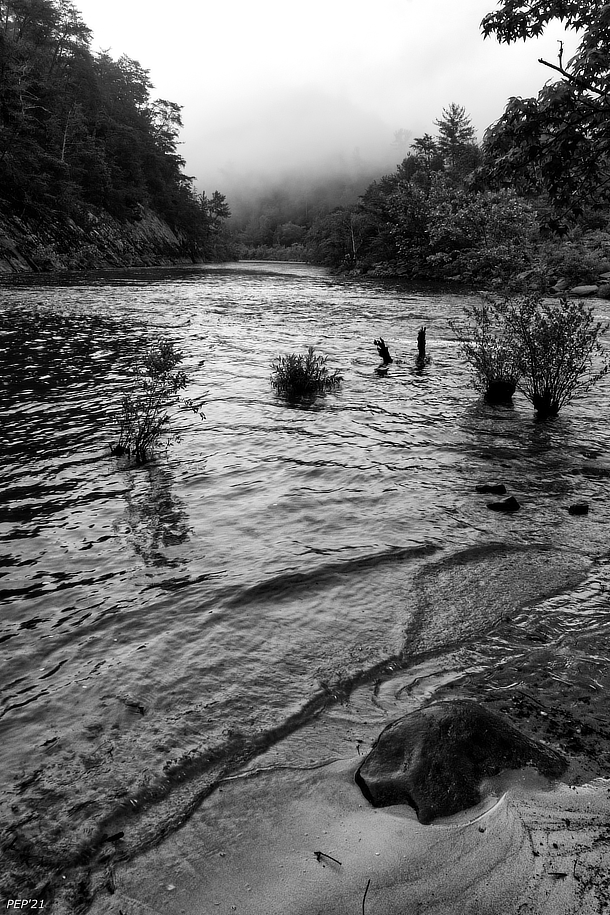 Fog On River