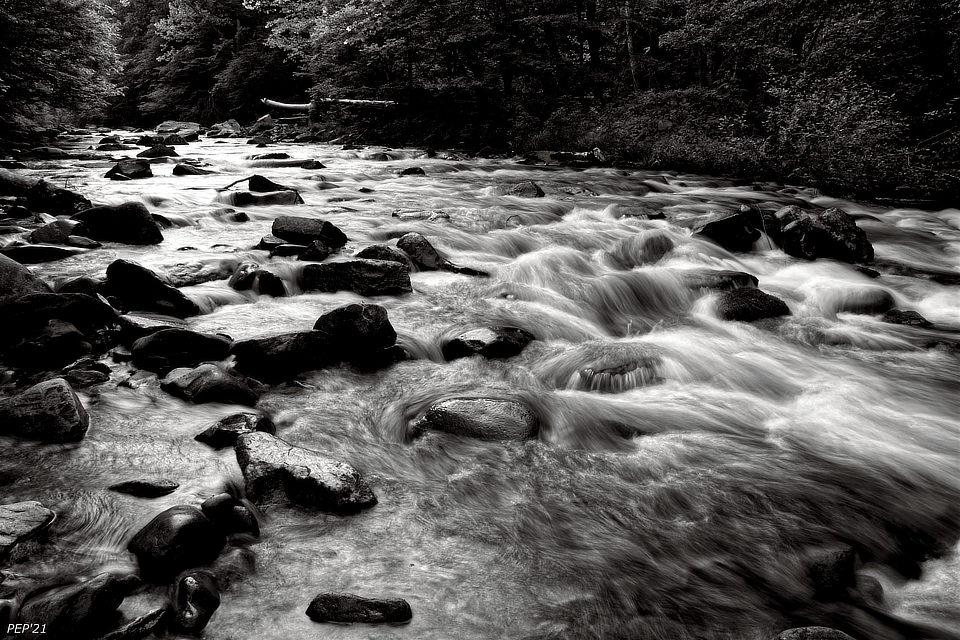 Black And White River