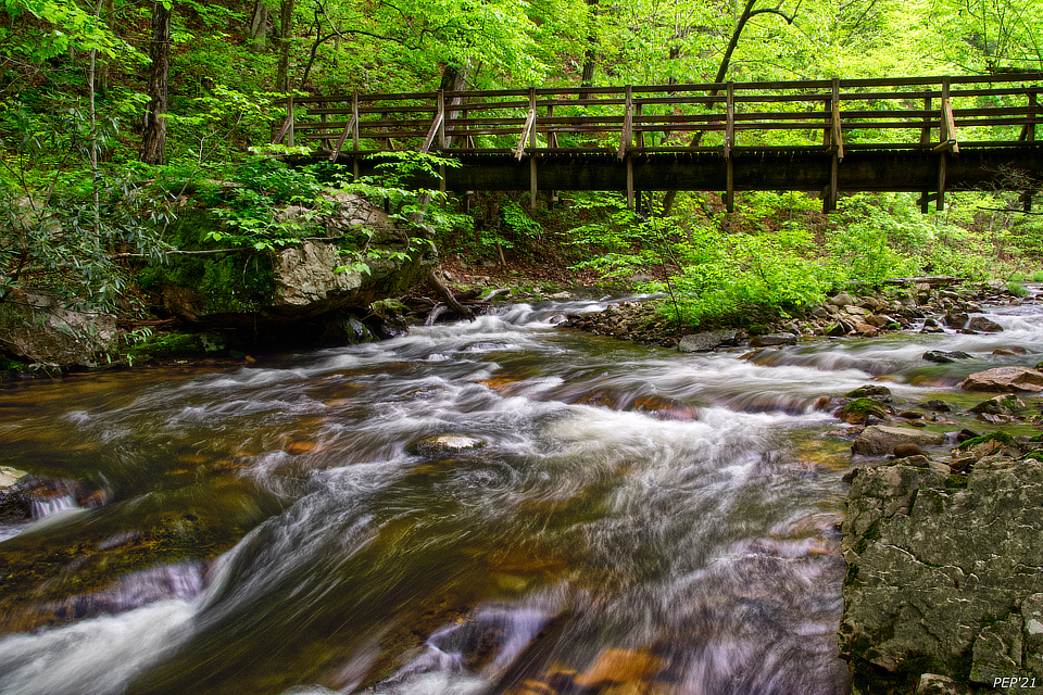 Bridge Over Laurel Fork