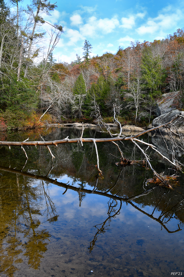 Autumn Reflections