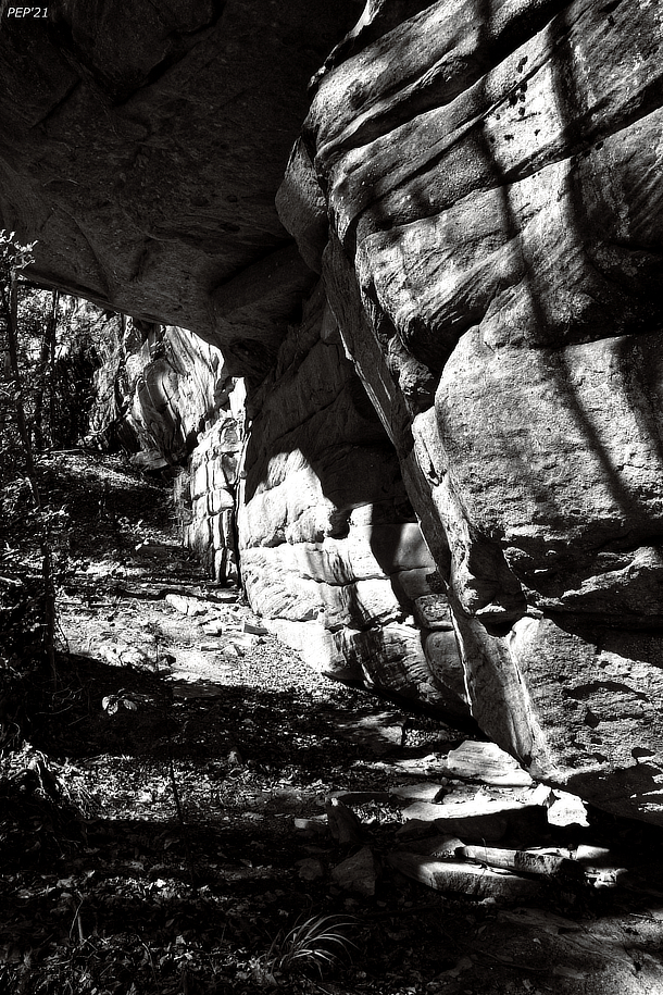 Black And White Trail